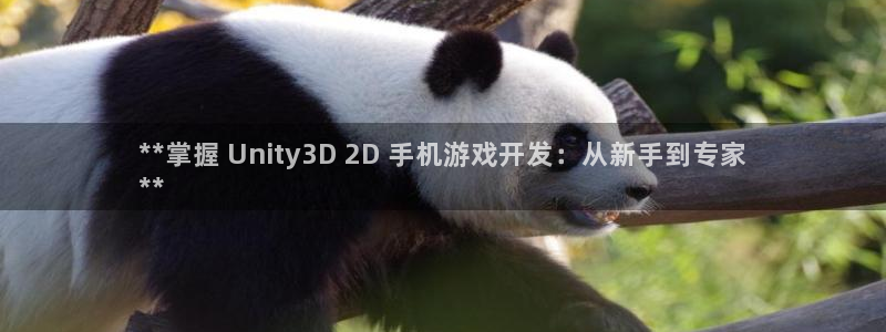 沐鸣娱乐2怎么登录账号：**掌握 Unity3D 2D 手机游戏开发：从新手到专家
**