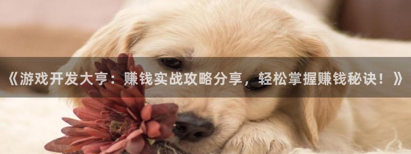 沐鸣娱乐2手机版：《游戏开发大亨：赚钱实战攻略分享，轻松掌握赚钱秘诀！》